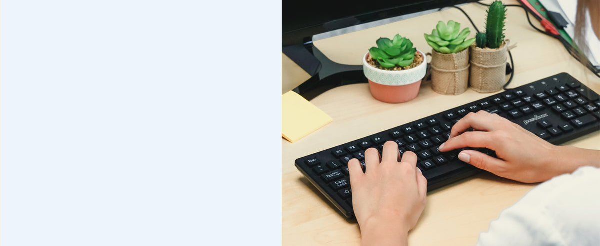 Plug & Play