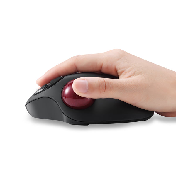 Compatible Mouse Models