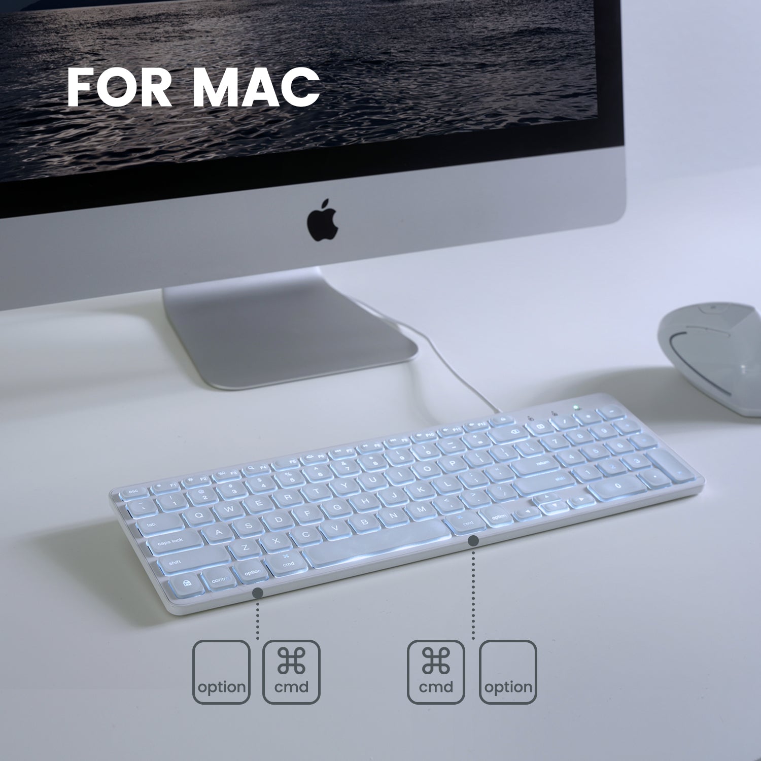 Compact Size Keyboard – Perixx Europe