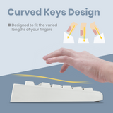 PERIBOARD-107 W - PS/2 White Standard Keyboard with curved keys design fits the varied lengths of your fingers.